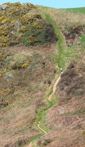 steps up from East Combe, Ruth walking the South West Coast Path, Cornwall