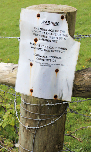 badger set notice - Ruth on her coastal walk, Cornwall
