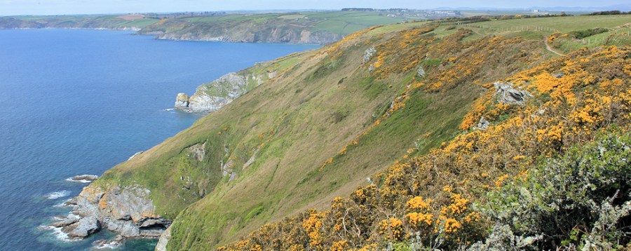 Ruth walking round the coast, looking towards Portholland