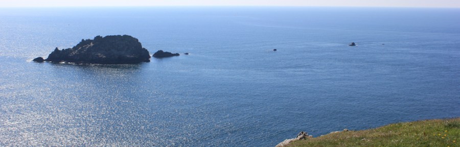 Gull Rock, off Nare Head, Cornwall, Ruth's coast walk