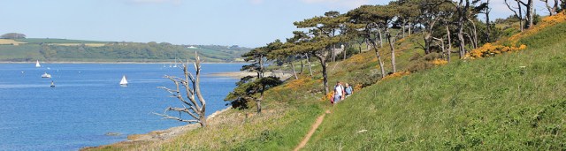02 walking to St Anthony, Carricknath Point, Ruths coast walk in Cornwall