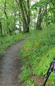 10 walk through woods, Ruth's coast hike