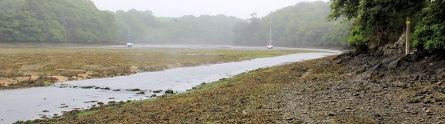 13 Stepping stones, River Gillan, Ruth's coastal walk, Cornwall