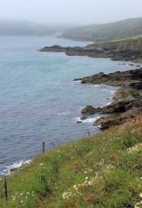 19 Nare Head, near Porthallow, Ruth's coastal walk