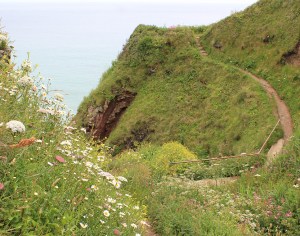 path around Housel Bay, Ruth on the South West Coast Path