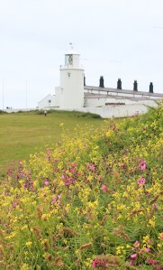 Lighthouse, Ruth's coastal walk, Lizard