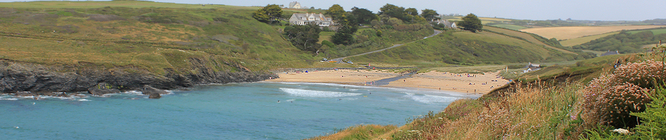 header, Poldhu Cove, Ruth's coastal walk
