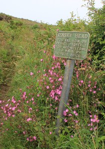 Rinsey Head sign, spotted by Ruth Livingstone