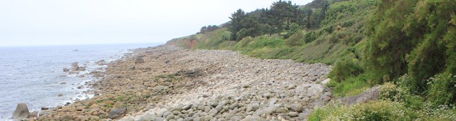 St Loys Cove - boulder beach, Ruth walking the coastline