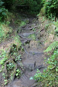 slippery slopes, climbing up from St Loys Cove, Ruth's coast walk