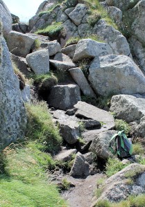rocks - path disappears, Ruth Livingstone