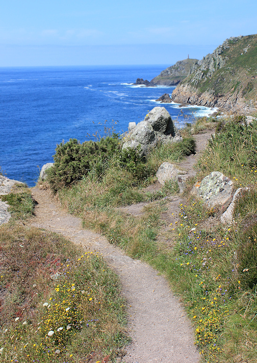 path goes over cliff, Cornwall, photograph by Ruth Livingstone