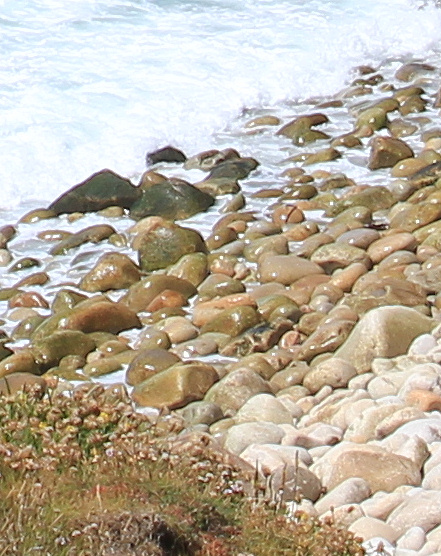 Dinosaur Egg beach, photograph by Ruth Livingstone
