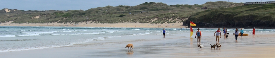 Beach and dunes, Hayle, Ruth Livingstone