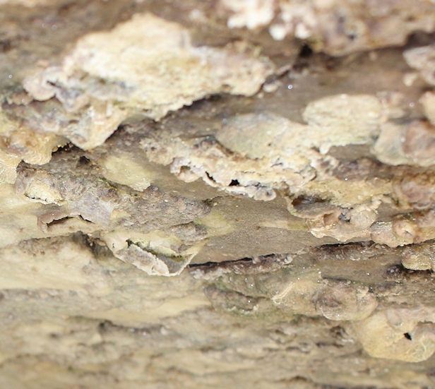 arsenic crystals, Ruth in Levant Mine, Cornwall
