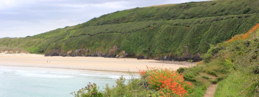 coming round Carrack Gladden, Ruth's coastal walk, Cornwall