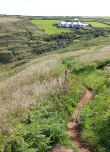 near Zennor, adder country, Ruth on the SWCP, Cornwall