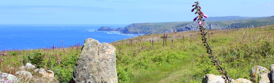 09 across heathland, SWCP, Ruth in Cornwall, Tregaminion Cliff