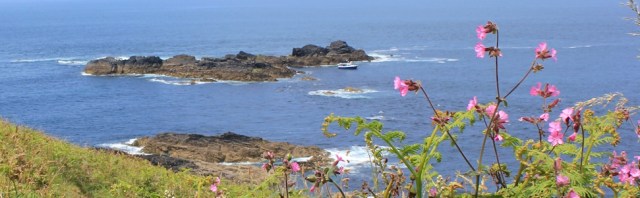 The Carracks, Ruth walking the coast in Cornwall, near St Ives