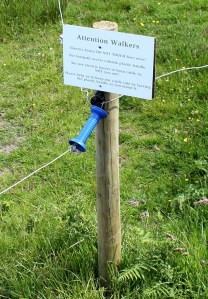 DIY electric fence, Ruth walks the coast near Travalgan