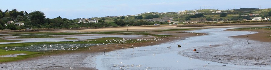 Hayle Estuary Nature Reserve, Ruth on her coastal walk around the UK, Cornwall