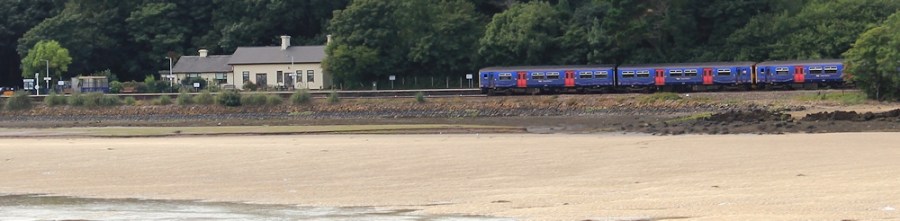 Lelant Station from across The Hayle, Ruth Livingstone