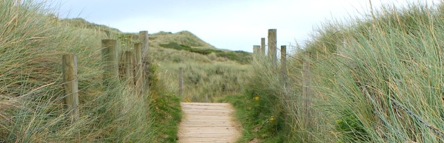 over the dunes, Cornwall, Ruth Livingstone