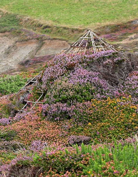 mine shaft covering with flowers, Ruth Livingstone