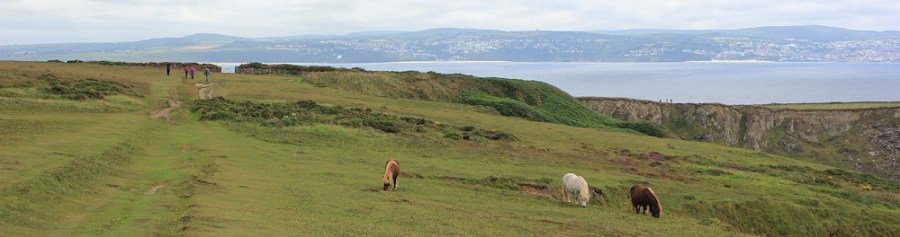 The Knavocks with Carbis Bay behind, Ruth's coast walk