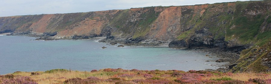 erosion and land slips, North Cliffs, Cornwall, Ruth Livingstone