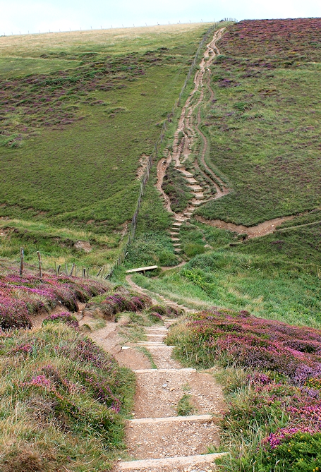 Carvannel Downs, Ruth walking round the coast, Cornwall