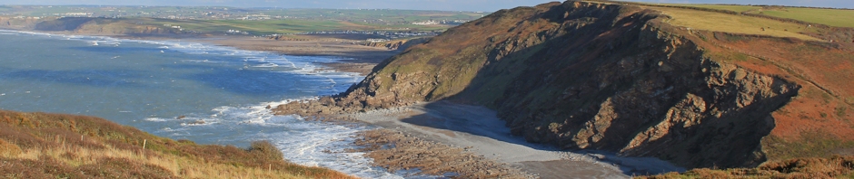 header, Millook, Ruth Livingstone