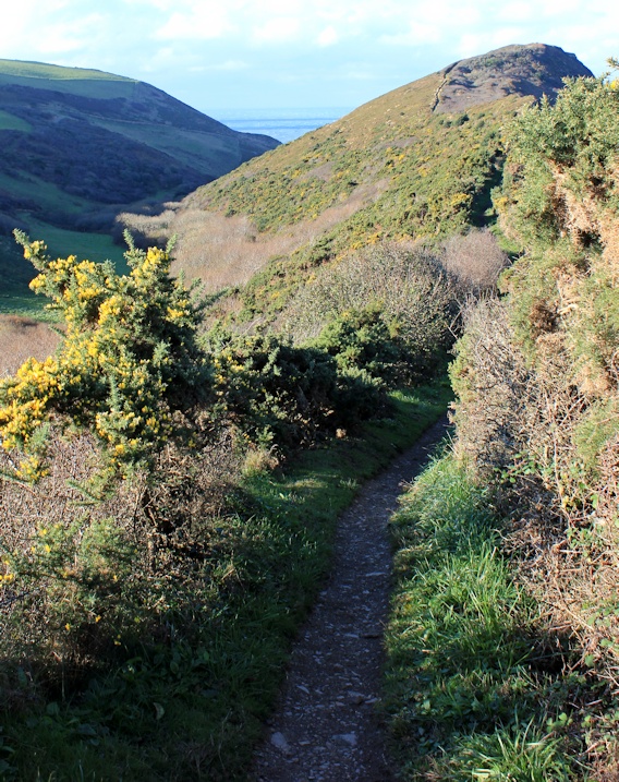 ledge from Castle Point, Ruth near Crackington Haven, South West Coast Path