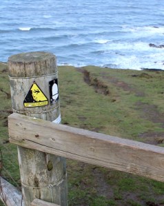 path plunges over cliffs, Ruth on the SWCP