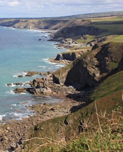 ups and downs of Bounds Cliff, Ruth walking in Cornwall