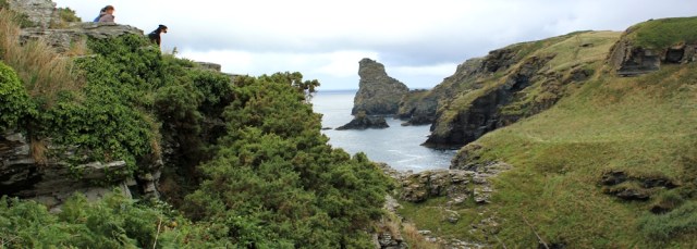 06 View up Rocky Valley, to Trevalga Cliff, Ruth Livingstone