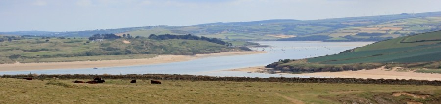 Looking over the fields to Padstow, Ruth walking the Cornish Coast