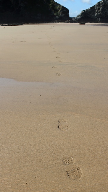 Ruth Livingstone, footsteps