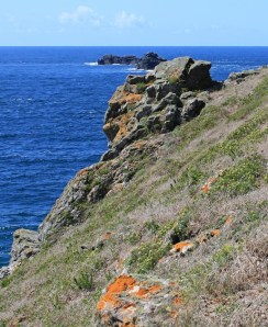 scramblin around slope on Dinas Head, Ruth walking the coast in Cornwall