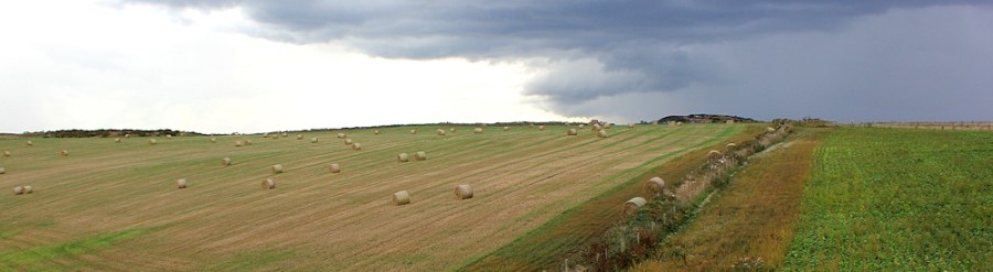 here comes the rain, Ruth Livingstone