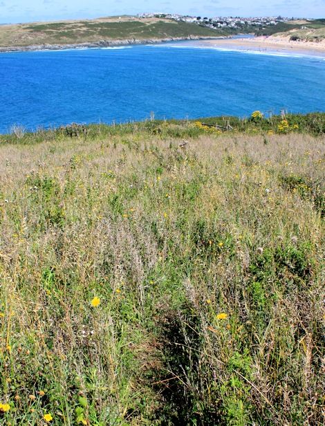 invisible path, Ruth in Cornwall
