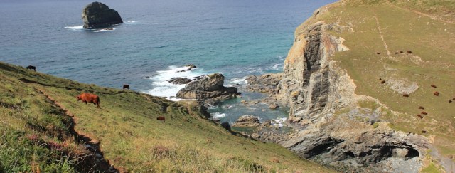 17 Backways Cove, Ruth on her coastal walk, North Cornwall