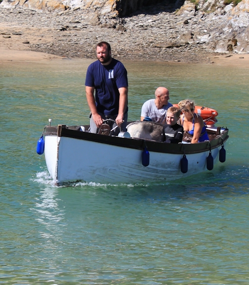 Crantock Beach ferry, Ruth walking the SWCP
