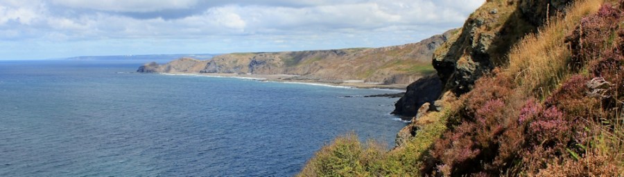 great view to Bude and Hartland Point, Ruth Livingstone