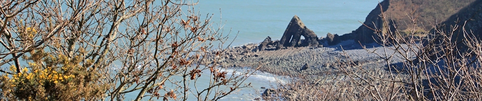 Blackchurch Rock, Ruth Livingstone