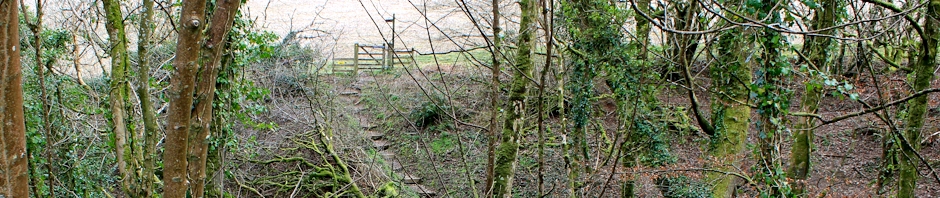 Header, Ruth Livingstone, Buck's Mills