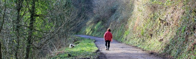 02 Hobby Drive, Ruth Livingstone's coast walk