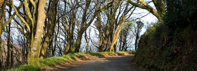 Hobby Drive, Ruth on the South West Coast Path, Clovelly
