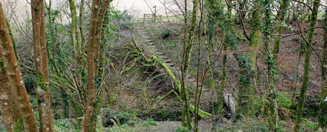 Barton Wood, Ruth on her coastal walk, North Devon