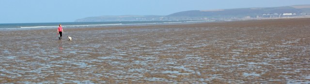 dogwalker, empty sands, Westward Ho, Ruth's coast hike